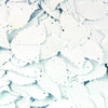 image variant Blanco