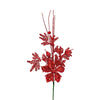 image variant Rojo
