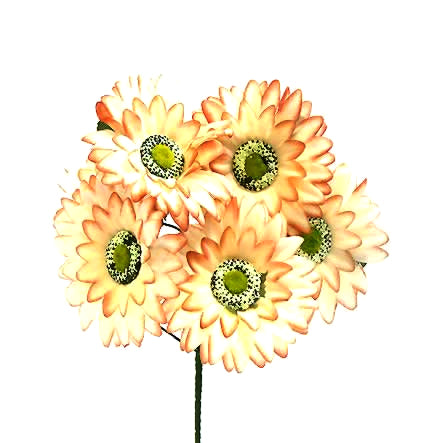 Art.9747 Bush Chico Gerbera Fina X6