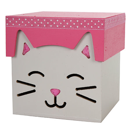 Cajita Gatito