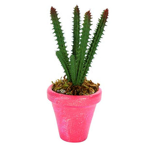 Maceta Rosa Con Cactus